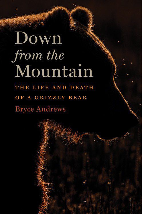 Down from the mountain.jpg